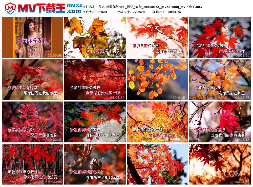 吴莎-想着你等着你_国语_流行_MED00352